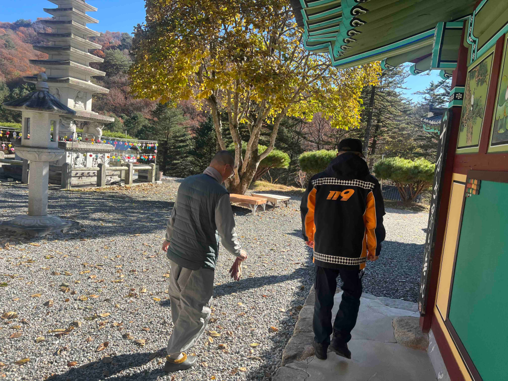 사본 -Photo1762752464.9550319.jpg