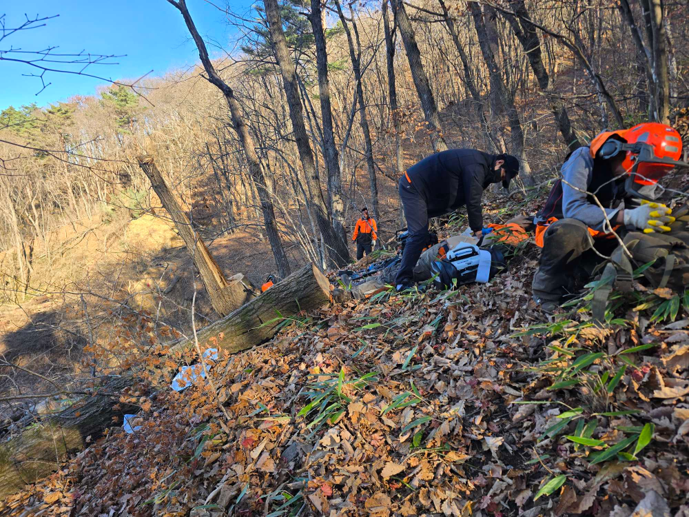 0819 삼척 하장면 벌목작업자 안전사고 활동 사진.jpg