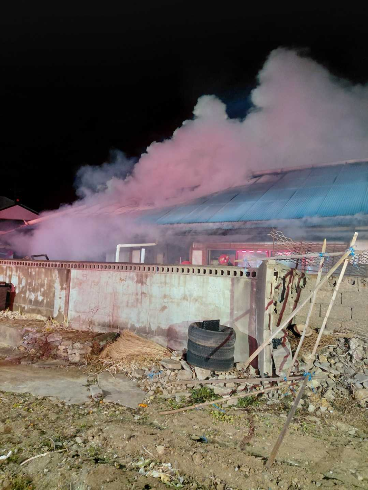 0102 동해 발한동 주택화재.jpg