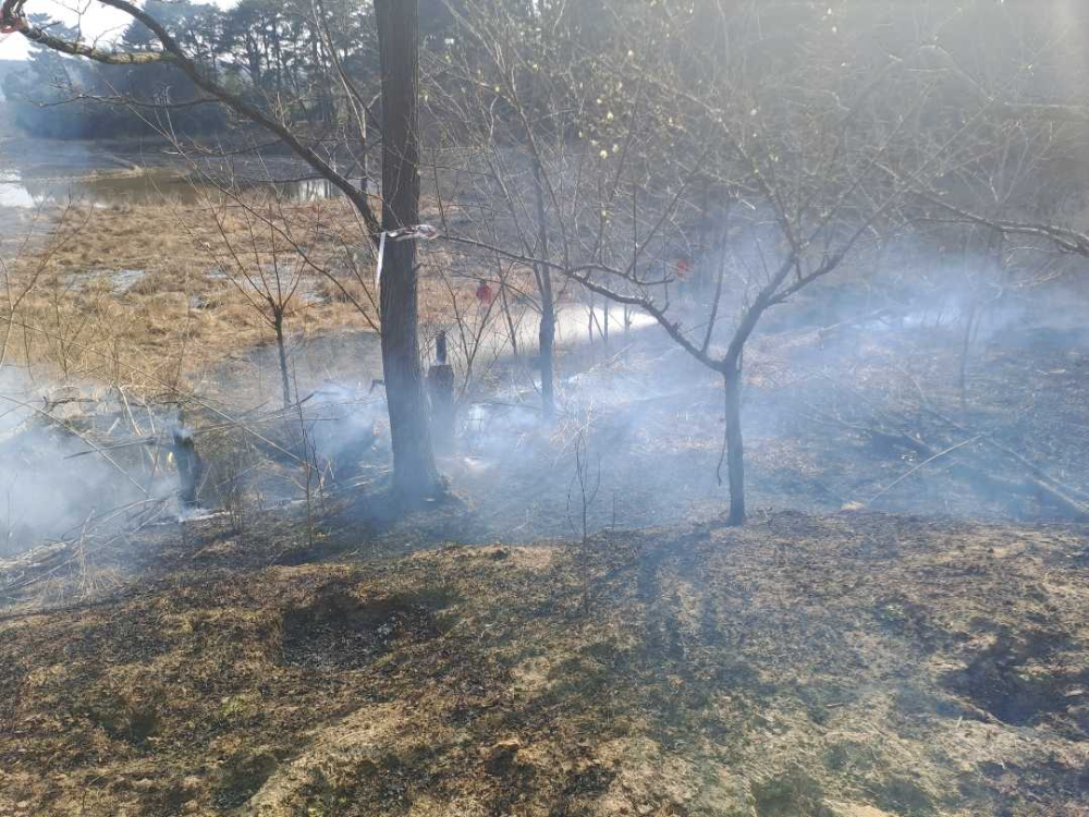 1440 강릉 주문진읍 기타화재.jpg