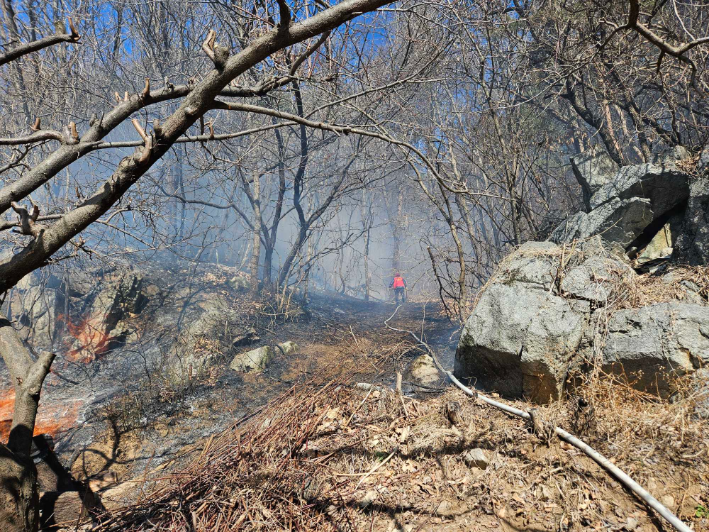 1210 원주 판부면 산림화재.jpg