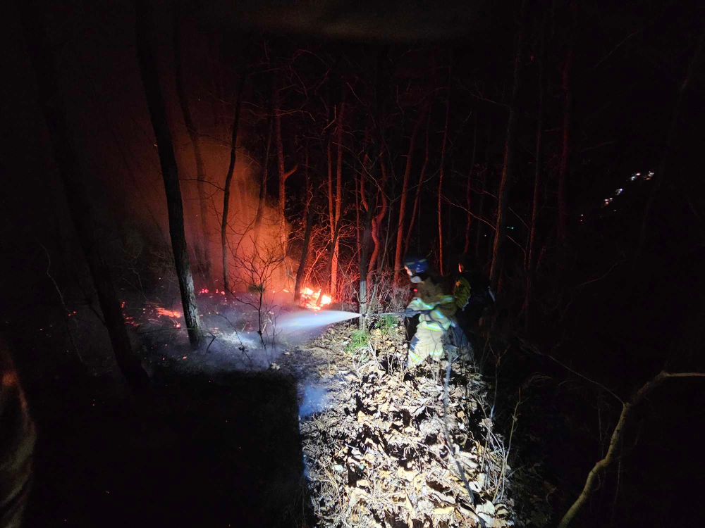 1854 춘천 신동면 팔미리 산림화재 (1).jpg