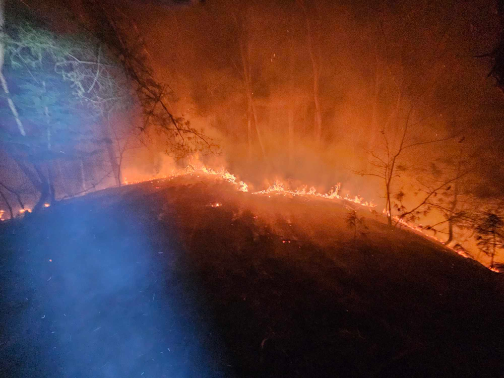 1854 춘천 신동면 팔미리 산림화재 (2).jpg