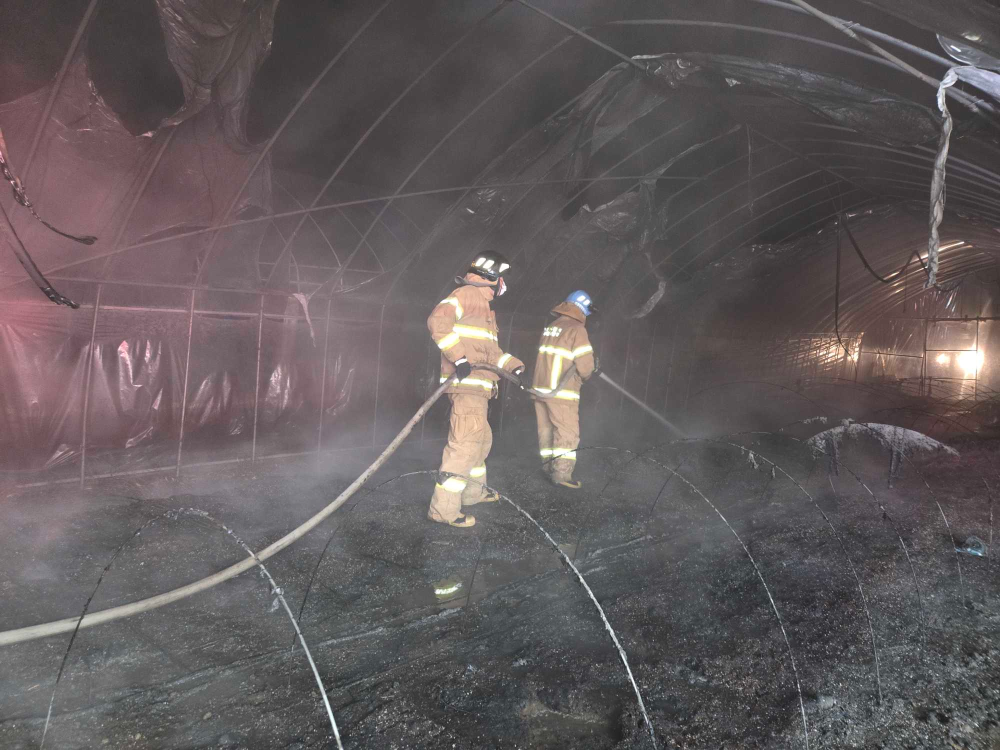 2058 횡성비닐하우스2.jpg