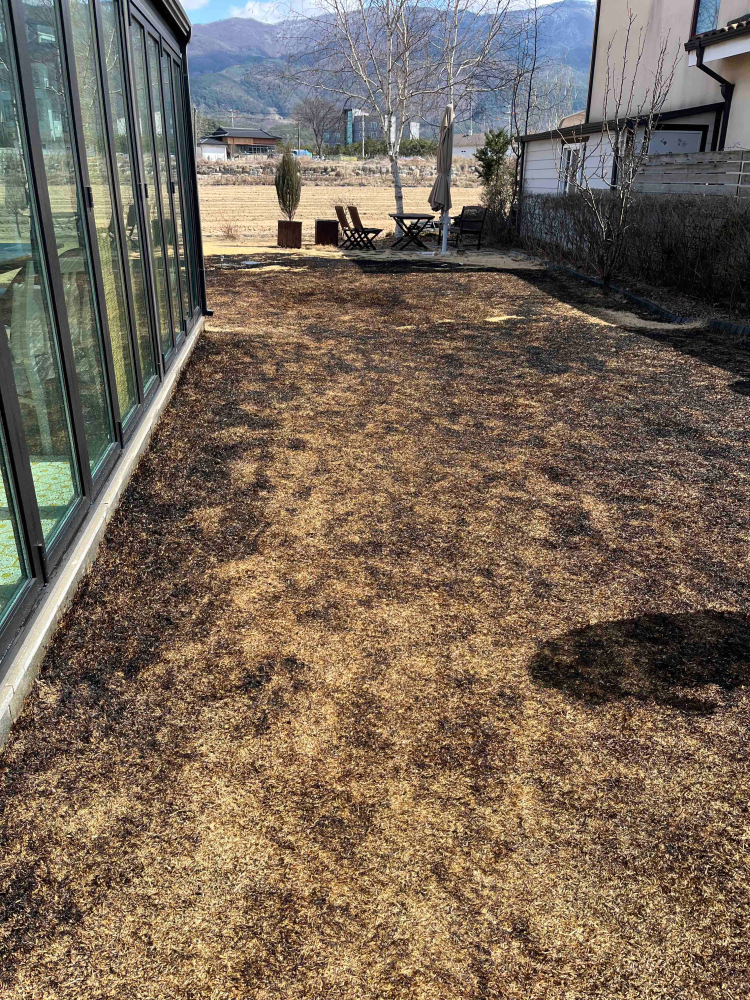 1219 춘천 기타화재.jpg