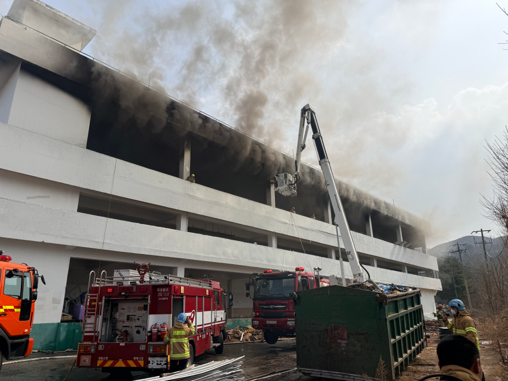 1337 동해 초구동 냉동창고 화재.jpg