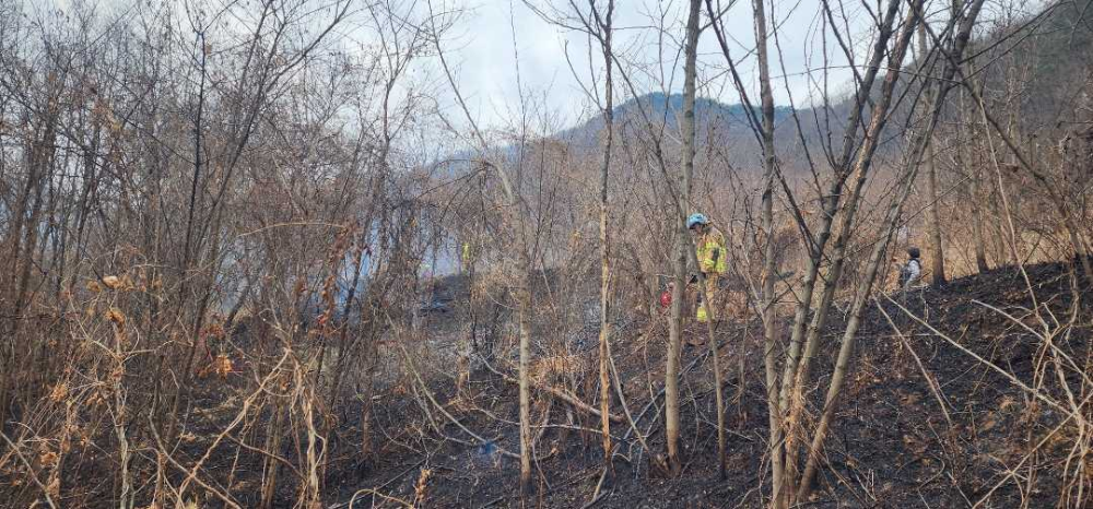 1317 영월 팔괴리 시초류 화재.jpg