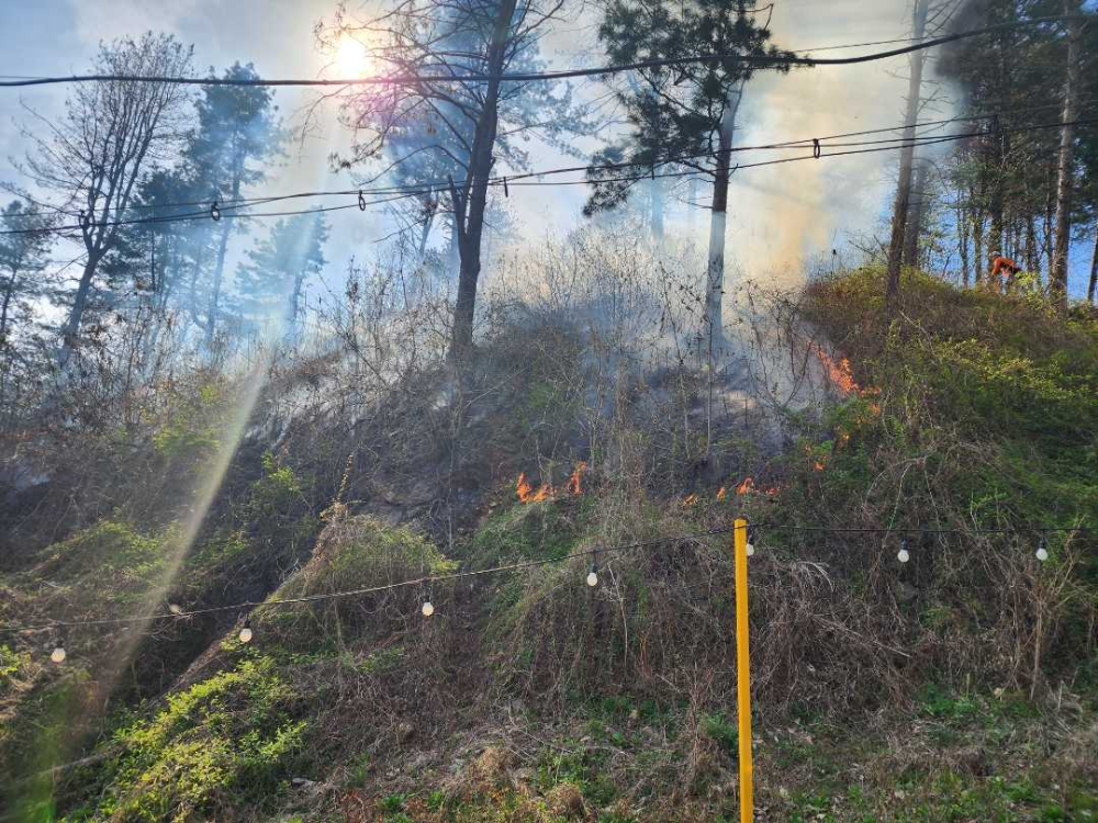 1532 춘천 서면 안보리 산림화재.jpg