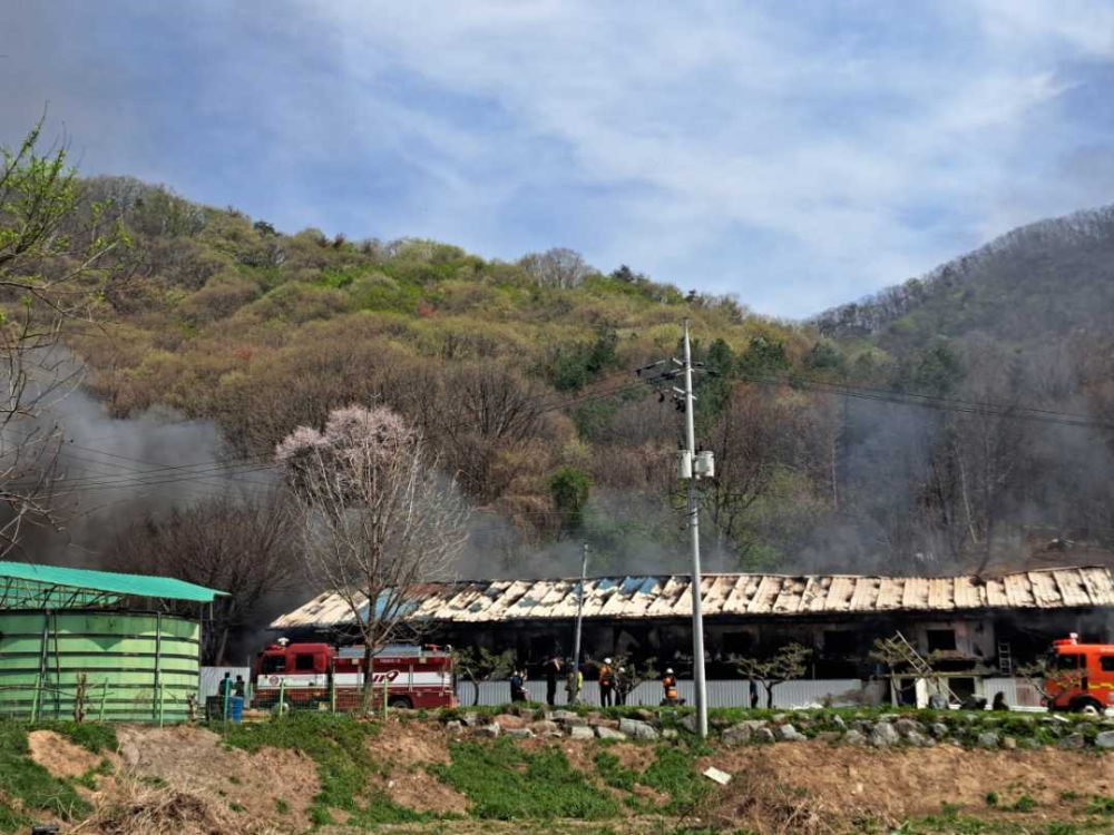 1046 원주 지정면 돈사 화재 (1).jpg