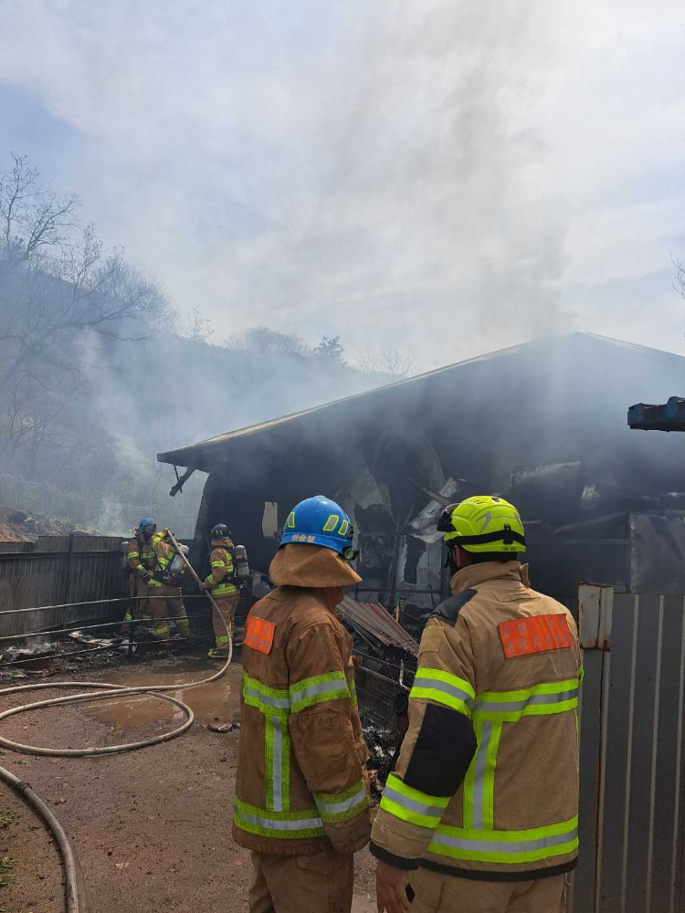 1046 원주 지정면 돈사 화재 (2).jpg