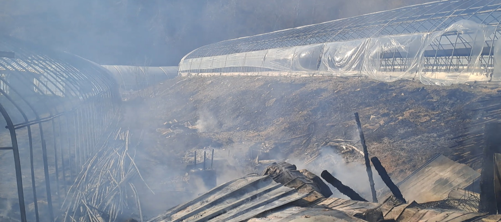 0753 고성 간성읍 흘리 비닐하우스 화재.jpg
