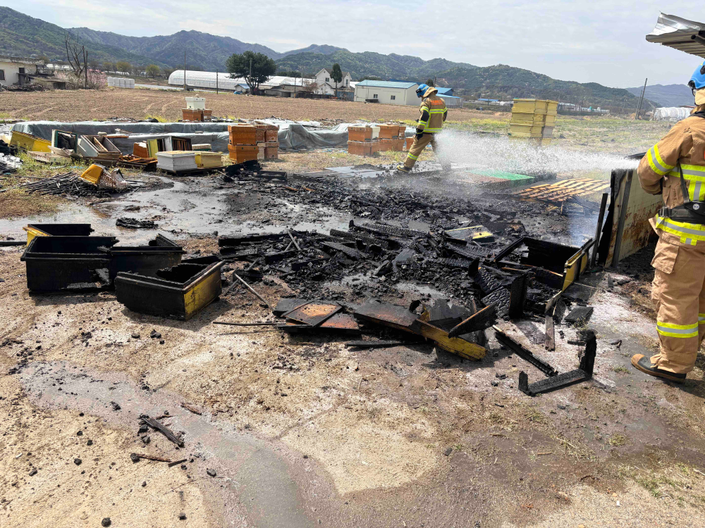 1140 철원 김화읍 벌통 화재.jpg