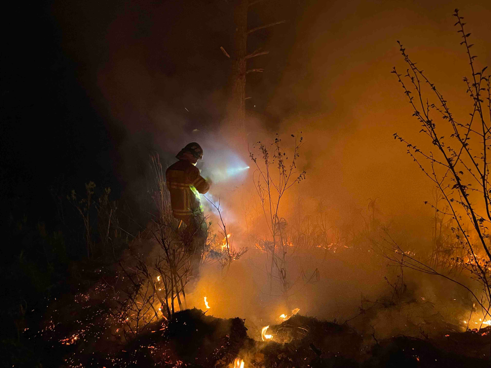 영월 산림화재-3.jpg