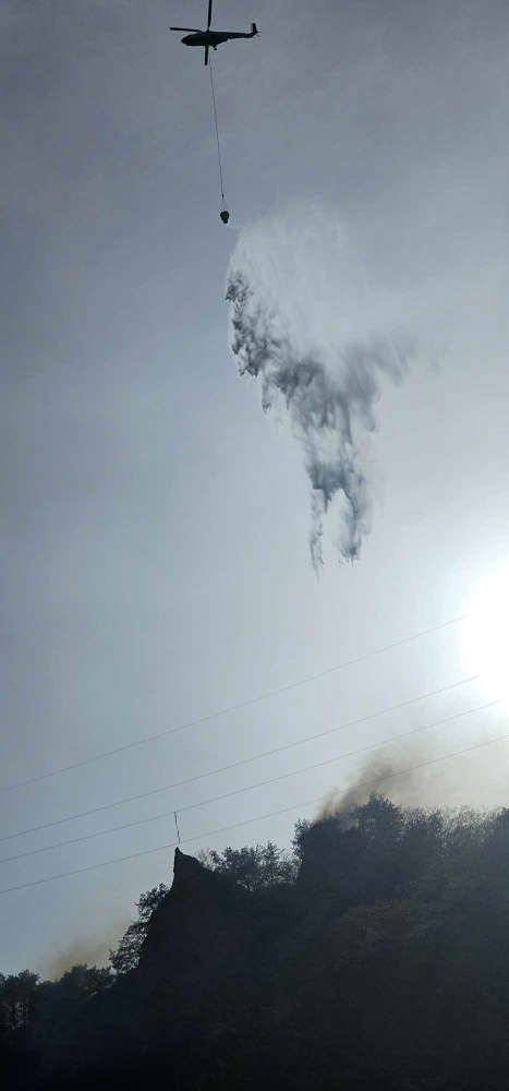 1343 태백 장성동 산림화재.jpg