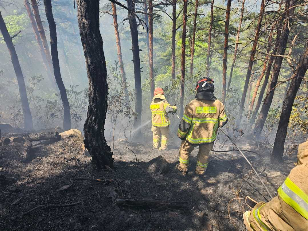 1130 양양 현남면 북분리 산림화재.jpg