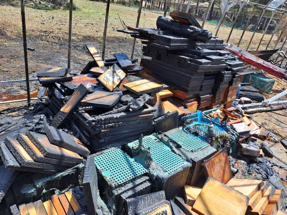 1132평창 비닐하우스.jpg