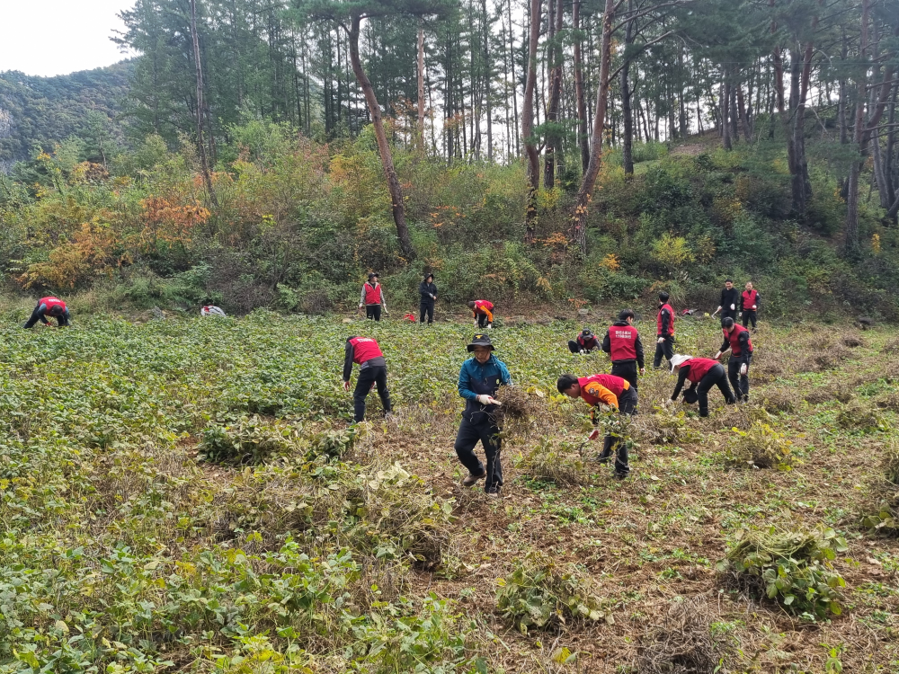 농촌 일손돕기 봉사활동 2.jpg