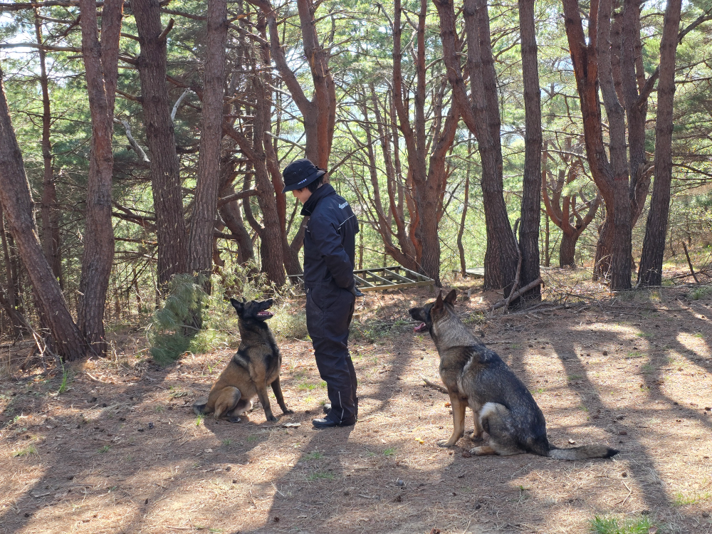 의욕배양 훈련.jpg