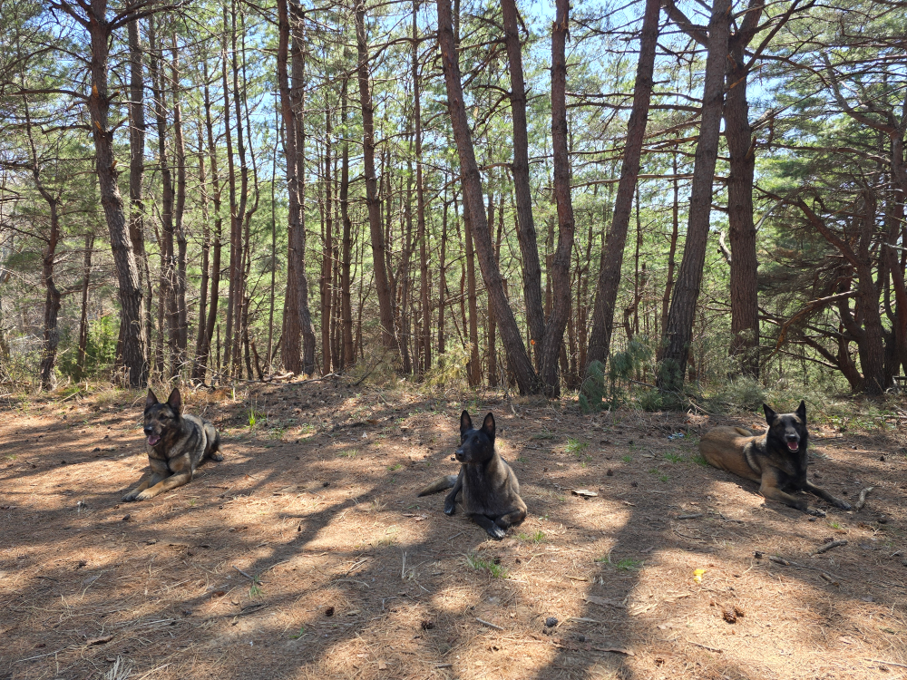 장시간 대기 훈련(1).jpg