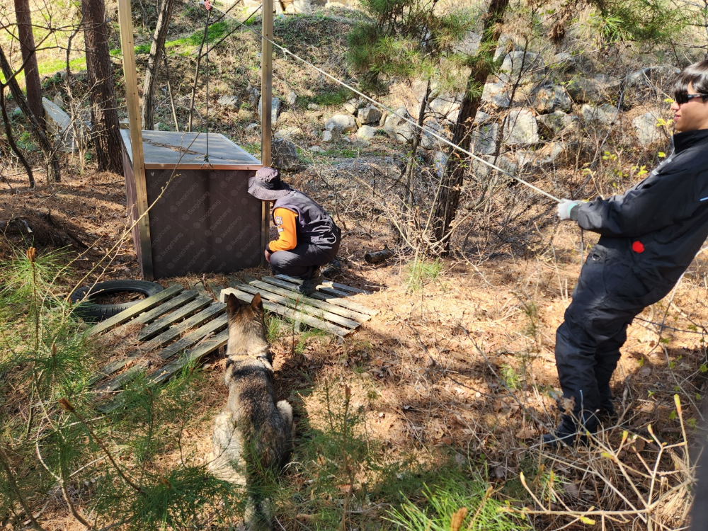 통보능력 강화 훈련.jpg