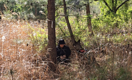 양양항공대 구조견 실종자 수색 훈련