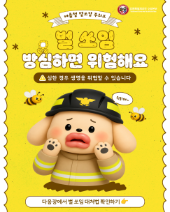 여름철 벌 쏘임 사고 주의보